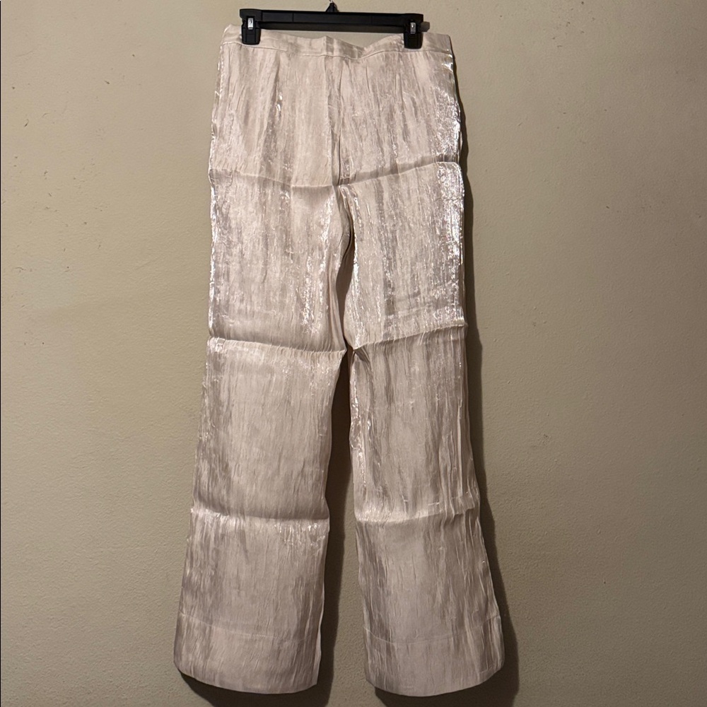 H&M Sheer Pants NWT - Picture 7 of 7